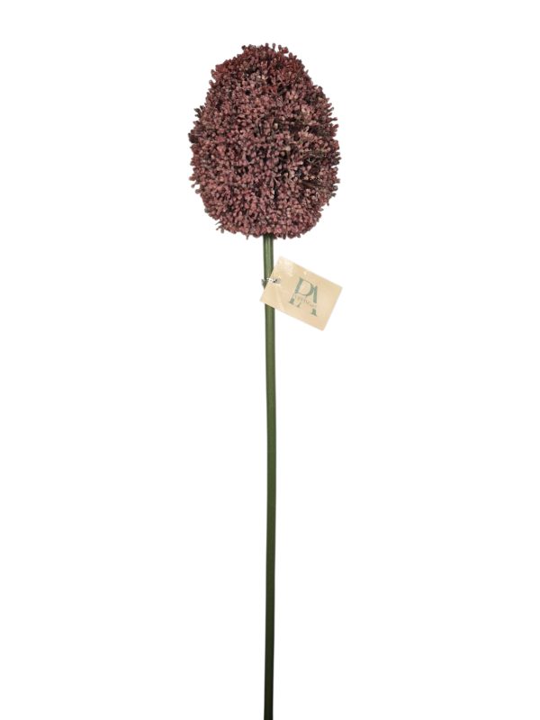 Allium XXL, Pink/Red, 70cm