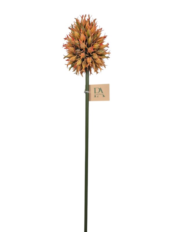Distel, Peach, 69cm. (Leverbaar eind oktober)
