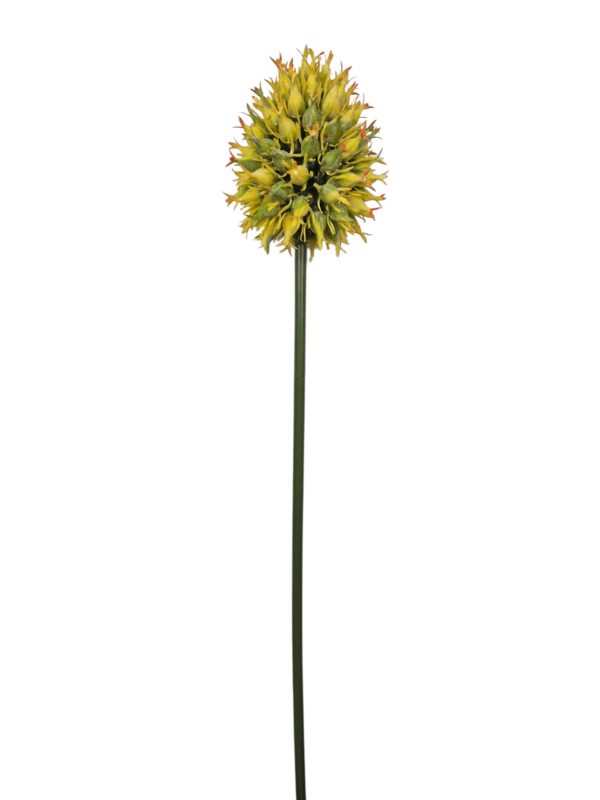 Distel, Yellow, 69cm. (Leverbaar eind oktober)_x000D_