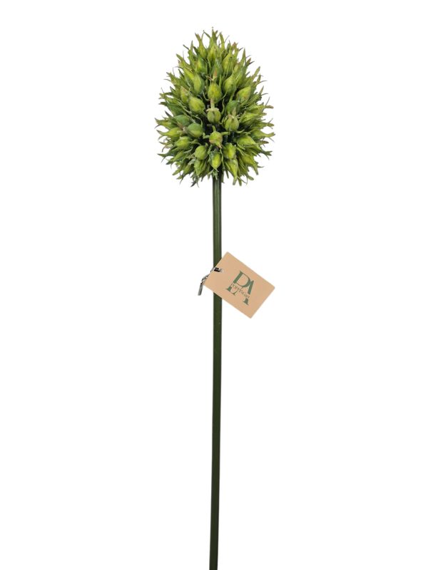 Distel, Green, 69cm. (Leverbaar eind oktober)