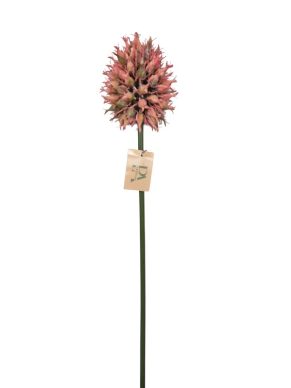 Distel, Pink, 69cm. (Leverbaar eind oktober)