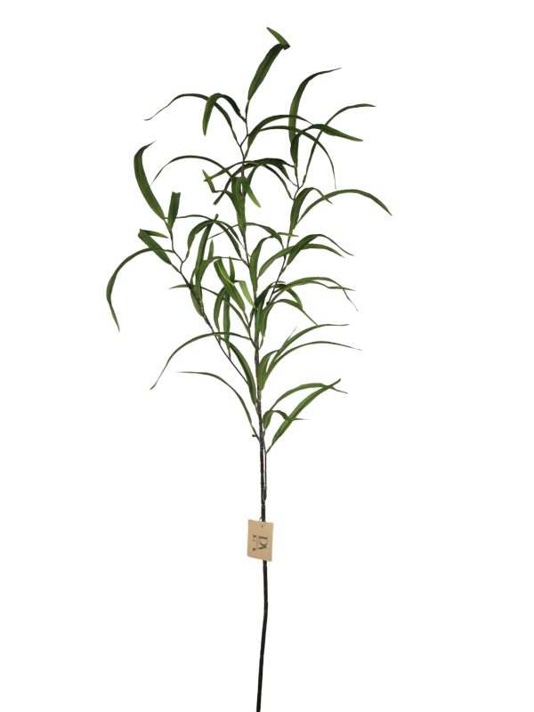 Fine Leaf, Green, 106cm.