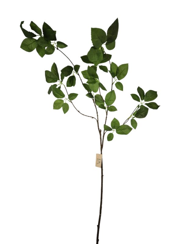 Rose Leaf, Green, M, 112cm