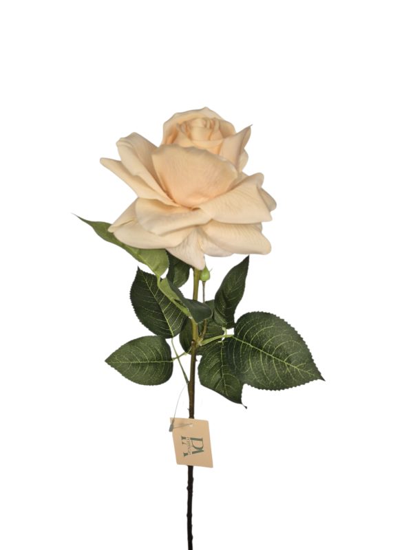 Rose Real Touch, Salon, 64cm (Leverbaar eind oktober)