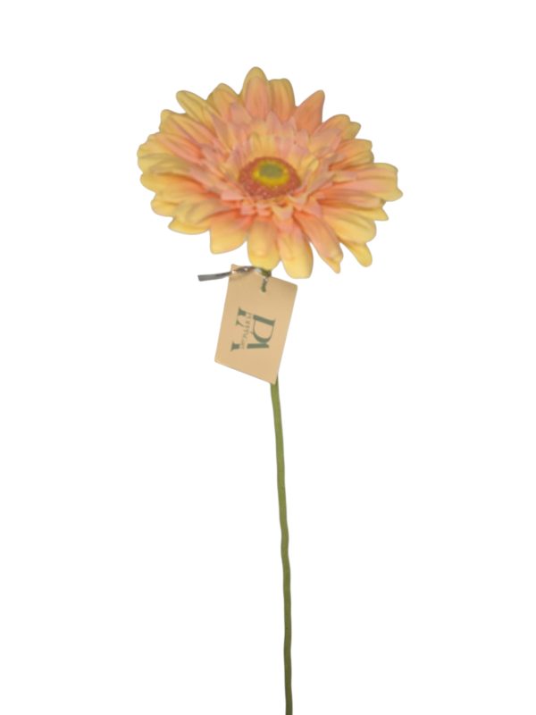 Gerbera, Peache, 63cm.