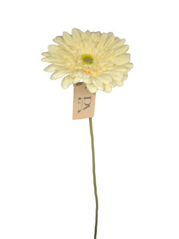 Gerbera, Off White, 63cm