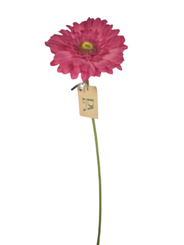 Gerbera, Fuchsia, 63cm