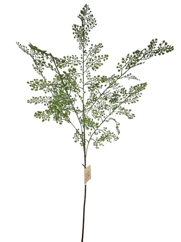 Fern Fine, Green, 99cm