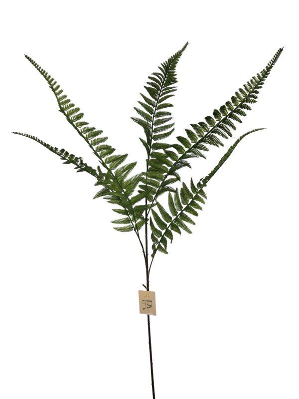 Fern leather, Green, 98cm.