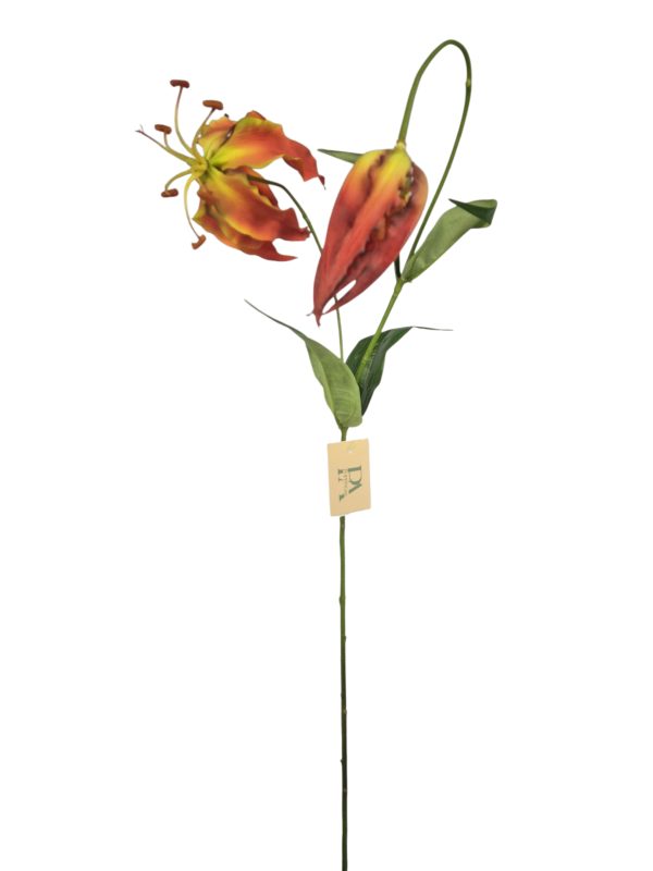 Gloriosa, Red, 89cm (Leverbaar eind oktober)
