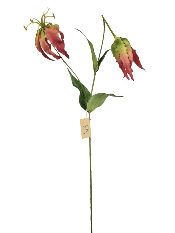 Gloriosa, Fuchsia, 89cm (Leverbaar eind oktober)