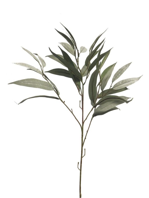 Mango lvs Spray Dusty Green