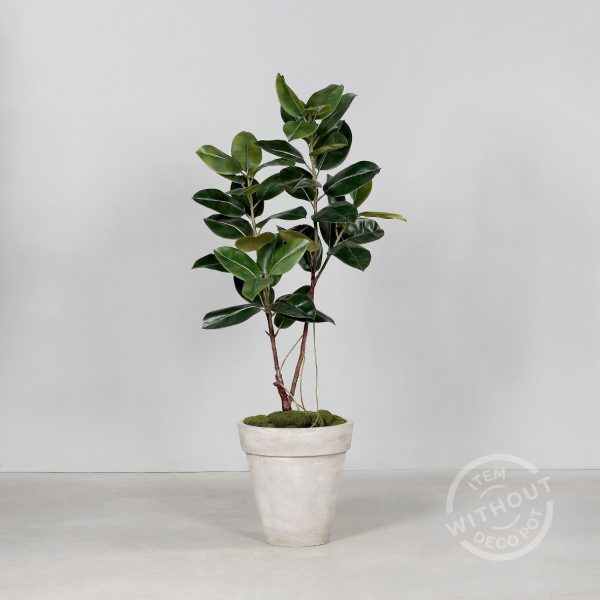 Ficus in zwarte kunststof pot, 155 cm