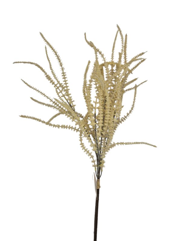 Astilbe bush 3x, Beige, 78cm, 12/144, (Leverbaar eind oktober)