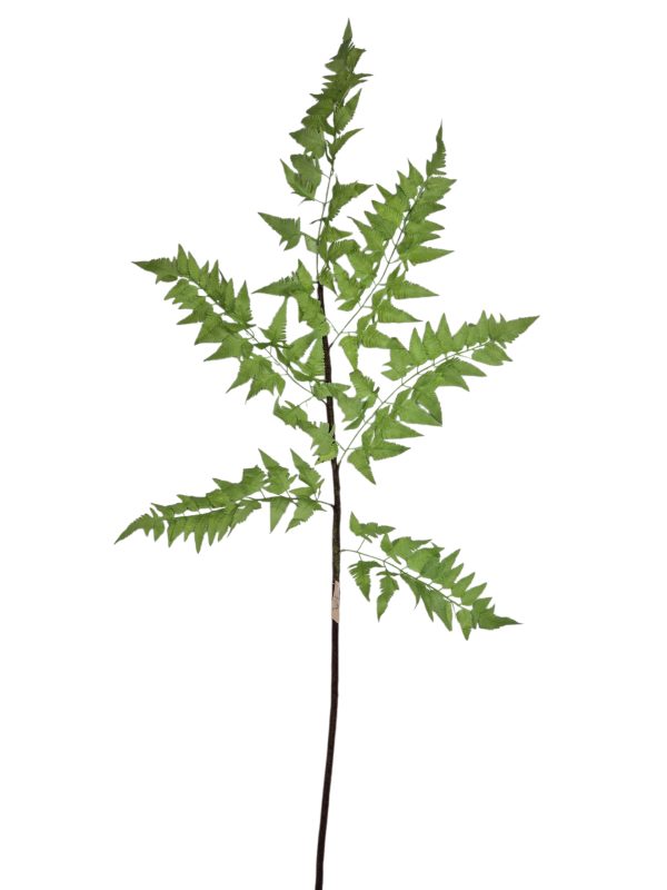 Varen blad, Green, 136cm, 12/72, (Leverbaar eind oktober)