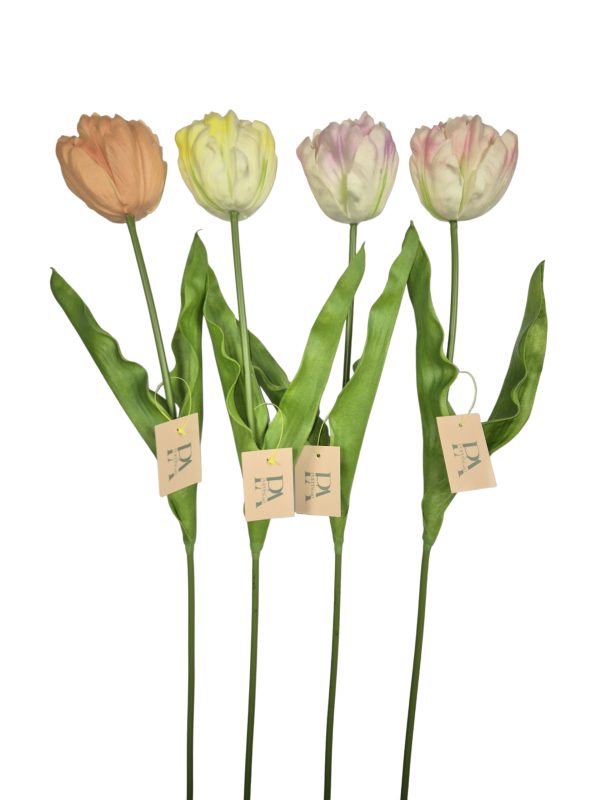 Franse Tulp, mix 4 colors, Sa, LT Gr, LT Pi, LT Pu, 67cm.