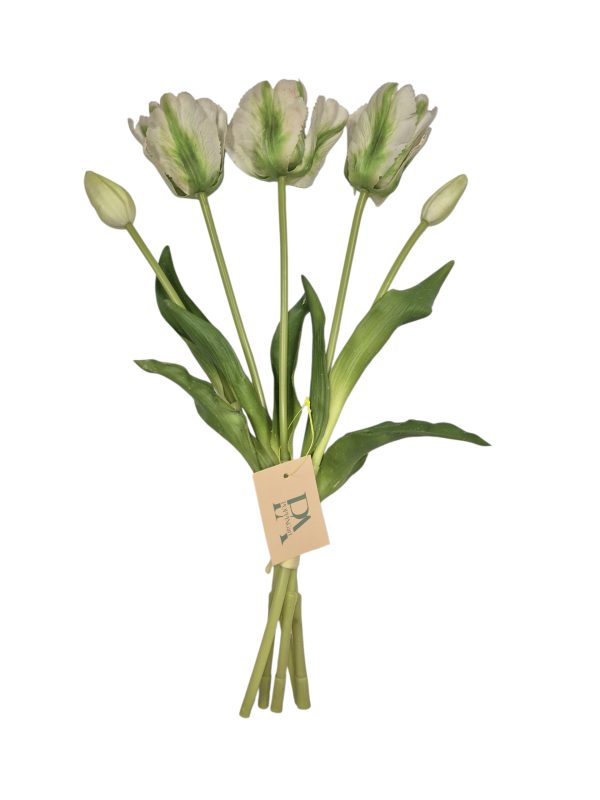 Tulip bundle, Green White, 3 flower, 2 Buds, 41cm