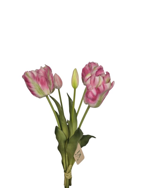 Tulip bundle, Hot Pink Green, 3 flower, 2 Buds, 41cm