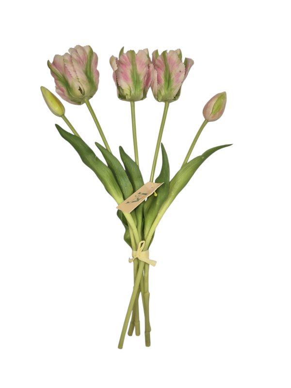 Tulip bundle, Soft Pink Green, 3 flower, 2 Buds, 41cm