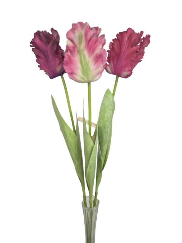 Tulip, Real touch, Dark Pink Mix 8/8/8, 70cm.