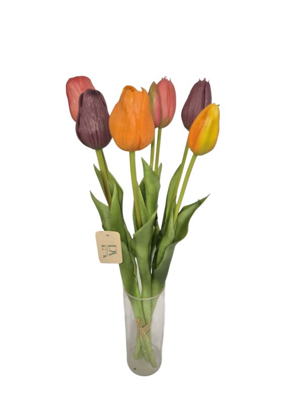 Tulip, Bundle long, Hot mix, 5 flower 2 buds, 44cm