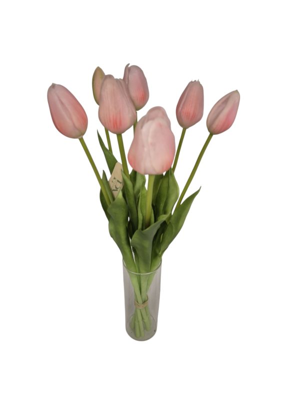 Tulip, Bundle long, Soft pink, 5 flower 2 buds, 44cm