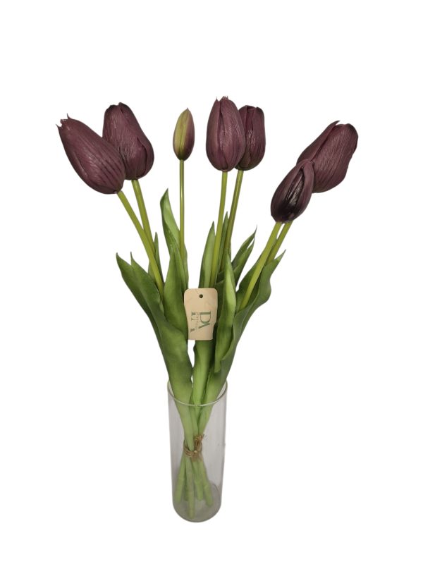 Tulip, Bundle long, Purple, 5 flower 2 buds, 44cm
