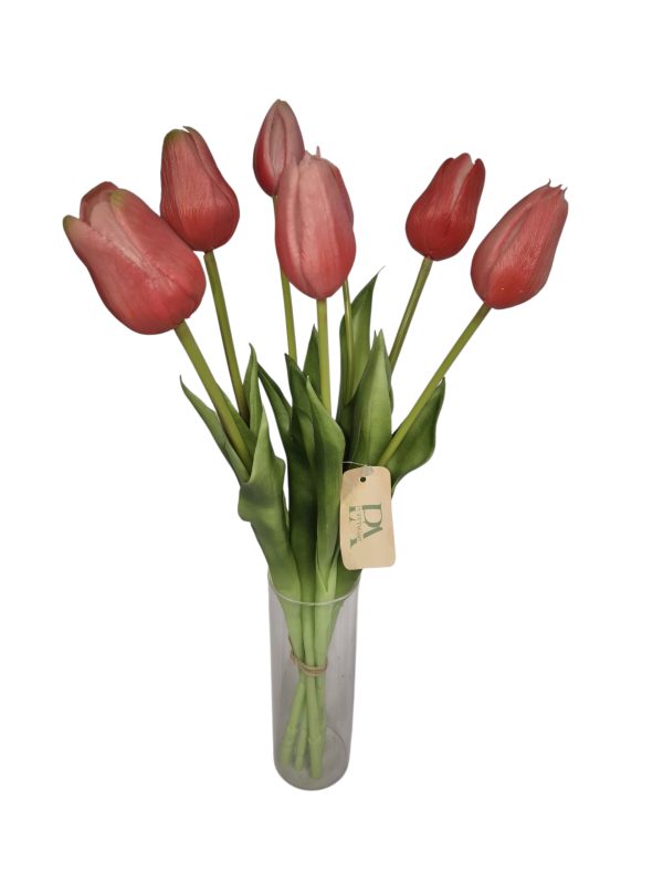 Tulip, Bundle long, Pink wiht Green edge, 5 flower 2 buds, 44cm