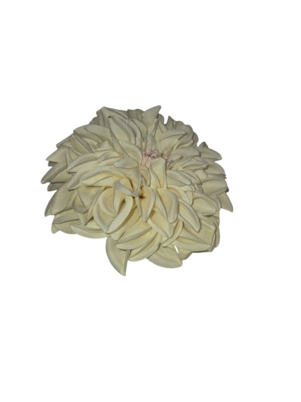 Dahlia, Tree, Cream, 12 flower, 6 buds, 78 cm