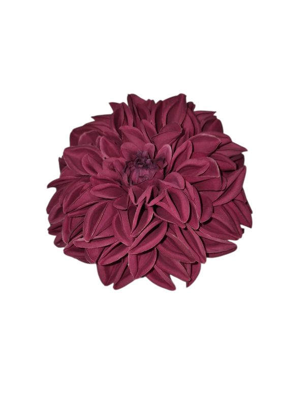 Dahlia, Tree, Hot Pink, 12 flower, 6 buds, 78 cm