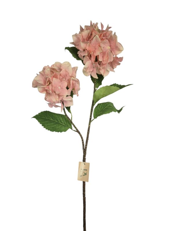 Hydrangea, 2 Heat, Pink, 82cm,