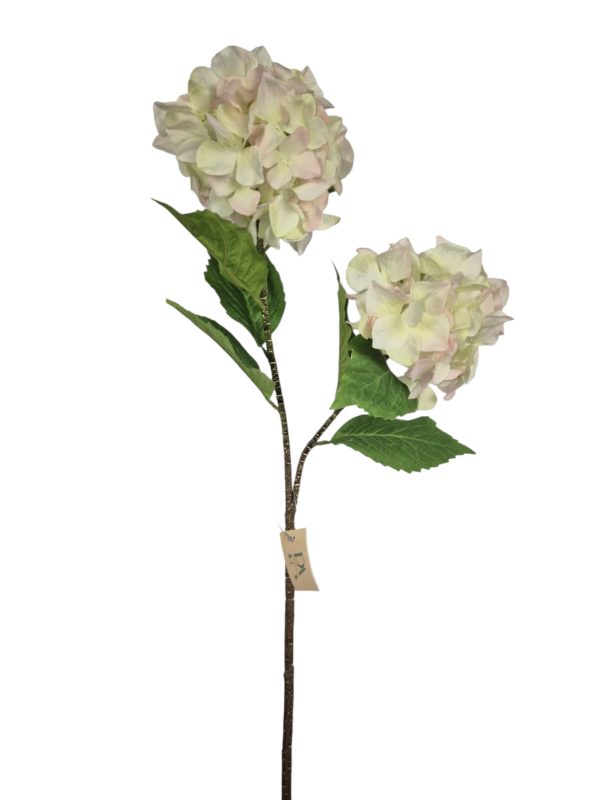 Hydrangea, 2 Heat, Light Pink, 82cm,