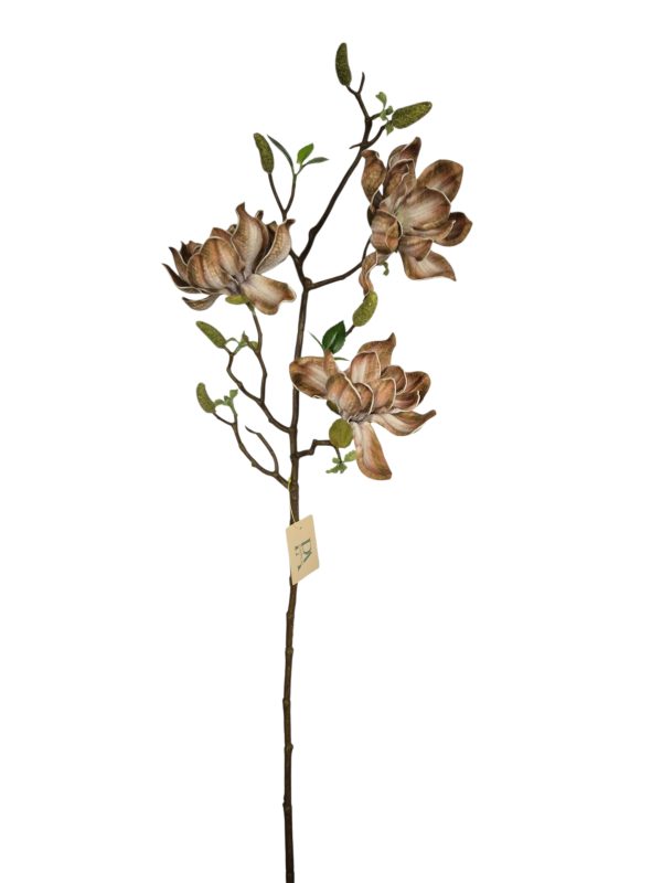 Magnolia flower, Coffee, 3head, 6 buds, 90cm.