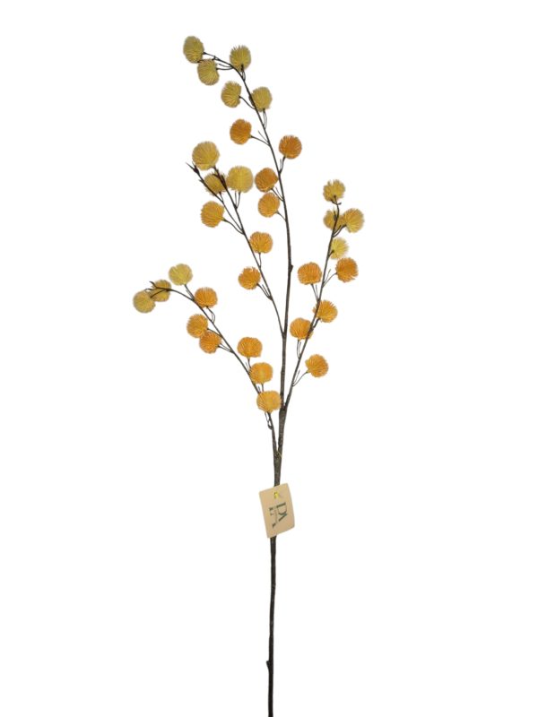 Waxberry, Orange, 102cm