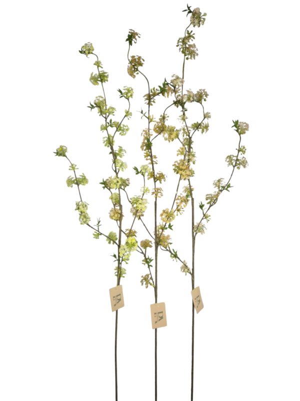 Viburnum mix, soft pink +green +peach, , 120cm
