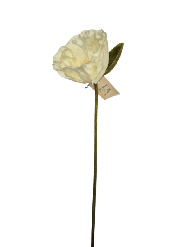 Single Poppy, Champagne, 67cm,