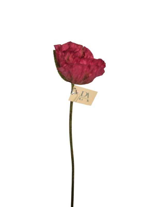 Single Poppy, Hot Pink, 67cm,
