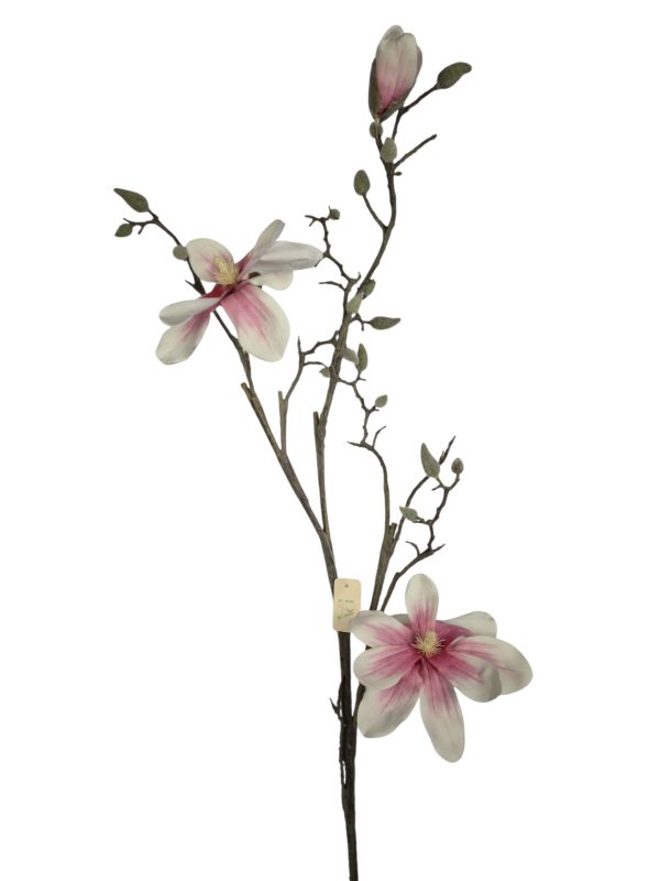 Magnolia,Pink, 103cm.