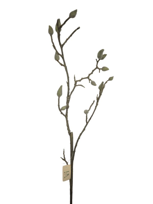 Magnolia Buds, Wood, small, Brown, 75cm.