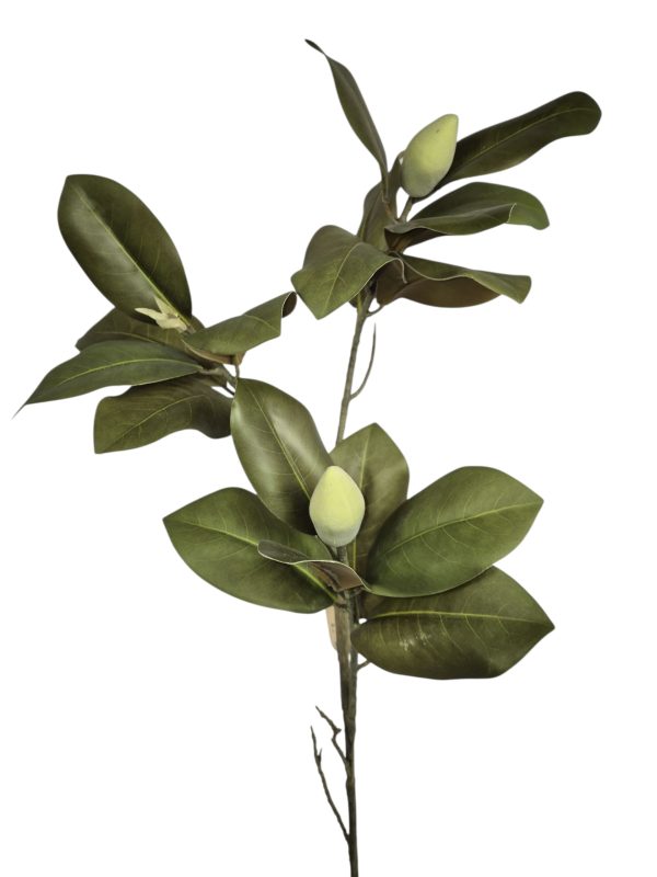 Magnolia Leaves, Green/Brown, 85cm