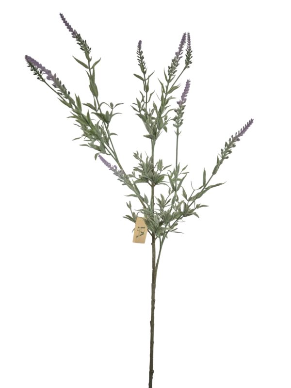 Lavendel XXL, Purple, 103cm.