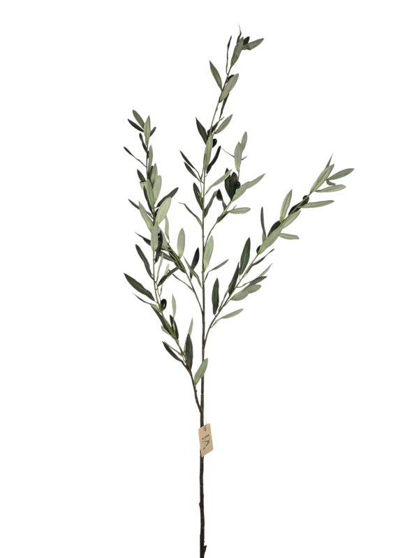 Olive twig, Green, 127cm.