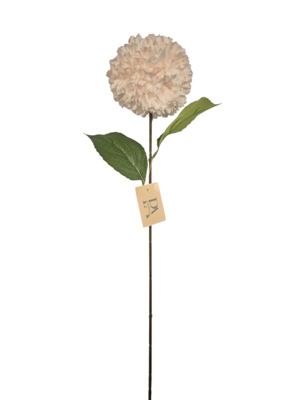 Hydrangea ball with Coffee stem, Salomon, 64cm.