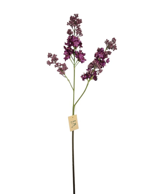 Sering, Fuchsia, 88cm.