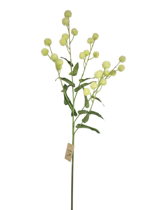 Distel, Green, White, 87cm.