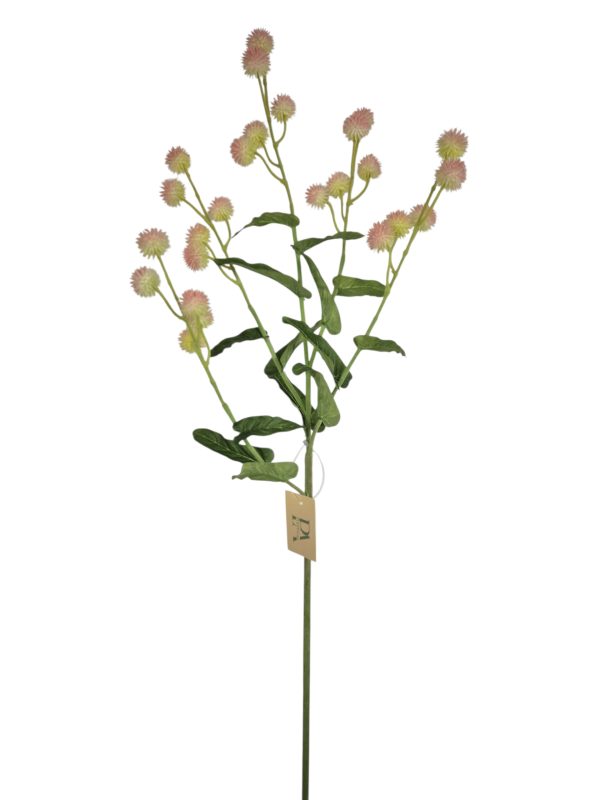 Distel, Pink, Yello, 87cm.