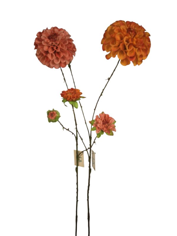 Dahlia, Spring mix, Orange and Pink, 88cm,