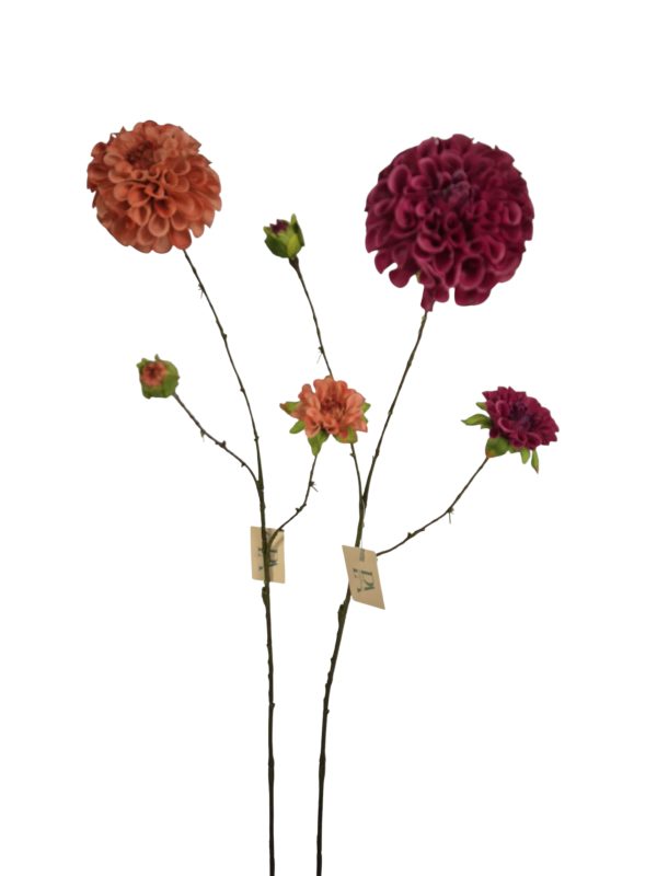 Dahlia, Spring mix, Pink and Fuchsia, 88cm,