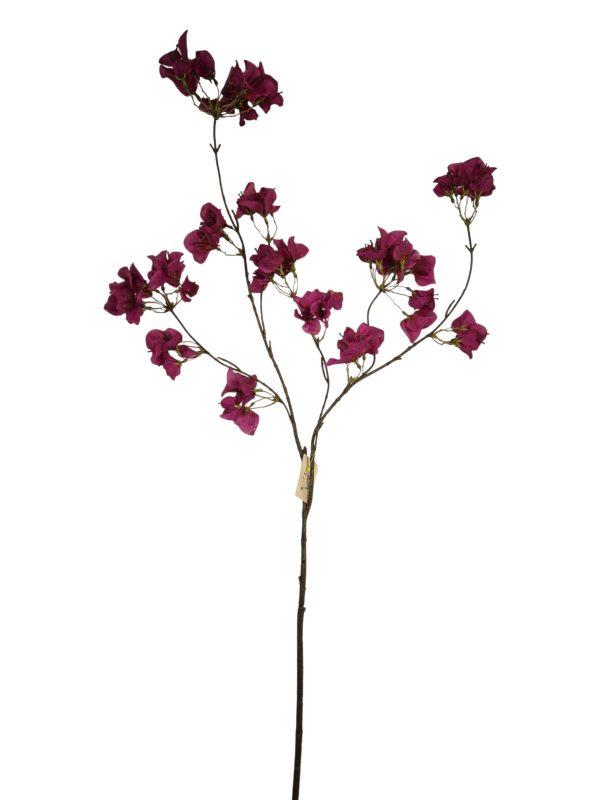 Bougainvillea, Fushia, 110cm