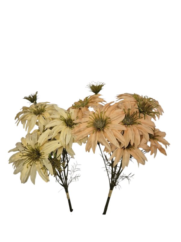 Daisy bundle, mix Campagne and Cream, 47cm